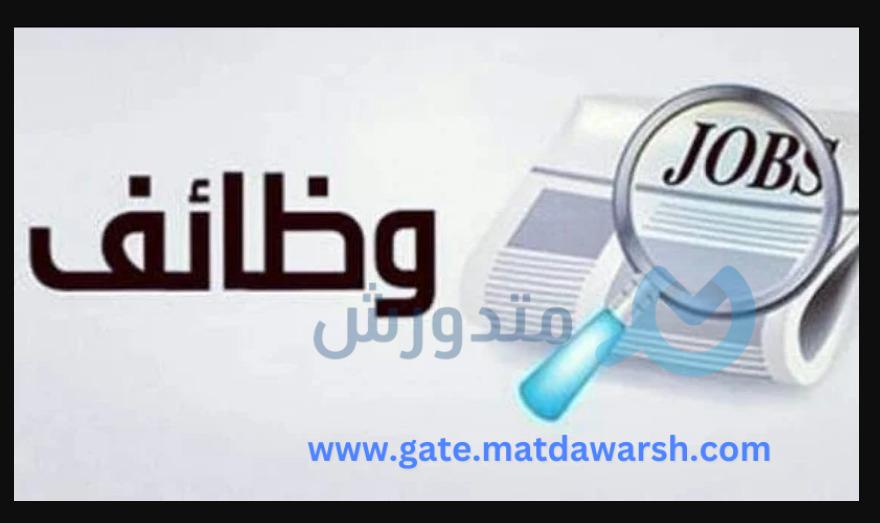 مهارات مهمه تؤهلك للبحث عن وظائف مناسبة 1 التأهل للبحث عن وظائف مناسبة