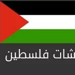 دور الدردشة الفلسطينية في التواصل عبر الانترنت 4 الدردشة الفلسطينية