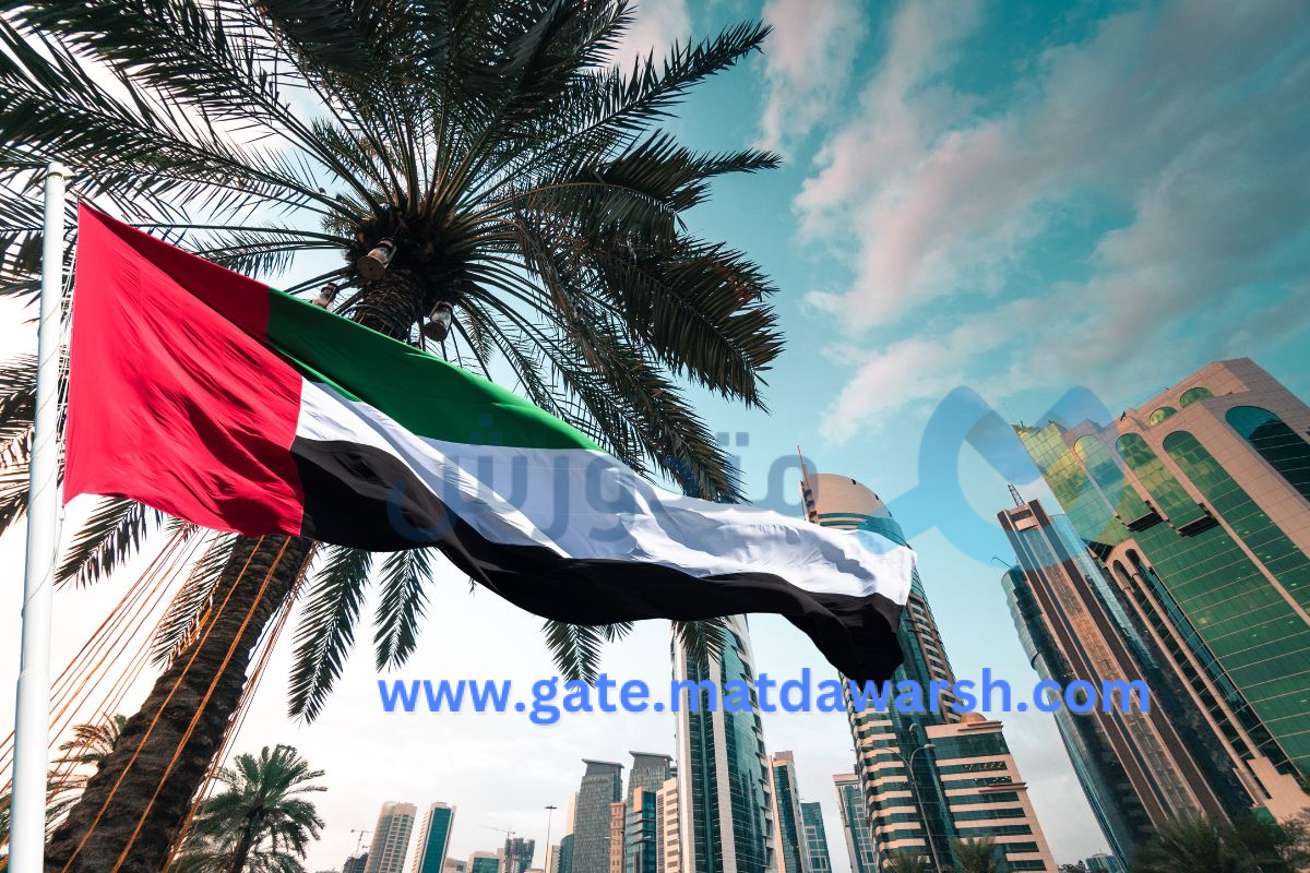 البنوك الرائدة في الإمارات: مراجعات وتقييمات لأفضل الخدمات المصرفية 1 البنوك الرائدة في الإمارات