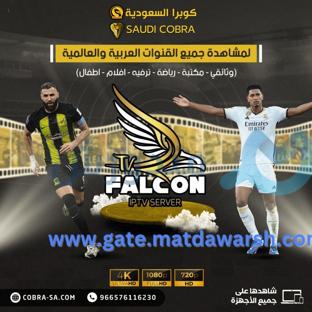 تعرف على اشتراك فالكون