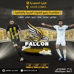 تعرف على اشتراك فالكون