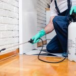 شركة رش مبيدات بالدمام: مكافحة فعالة للحشرات بطرق آمنة 2 شركة رش مبيدات بالدمام