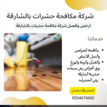 شركة مكافحة حشرات في الشارقة، عجمان، الفجيرة، خورفكان، كلباء، والذيد 6 شركة مكافحة حشرات في الشارقة