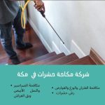 شركة مكافحة حشرات بمكة