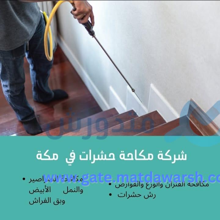 شركة مكافحة حشرات بمكة