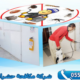 دليلك الشامل لاختيار شركة مكافحة الحشرات بالدمام لصيف بلا إزعاج 4 شركة مكافحة الحشرات بالدمام