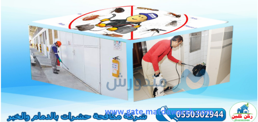 شركة مكافحة الحشرات بالدمام